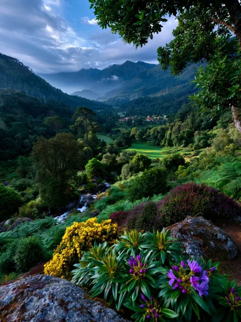 风景山水清晨阳光下的山谷郁郁葱葱的绿植日历背景图高清素材73