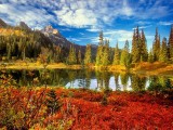 风景