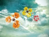 手绘花朵
