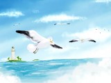 碧海蓝天