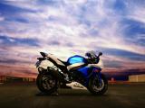 铃木 Gsx R1000