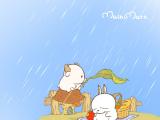 为你挡雨
