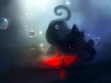 黑猫的愿望