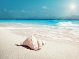 海螺听海