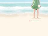 夏天的梦