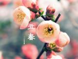 二十四节气立春