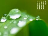 二十四节气雨水