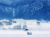 冰天雪地的世界