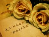 一起在走的幸福