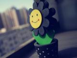 面对太阳微笑吧