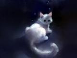 绘画忧伤小猫