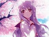 樱花下的紫发少女
