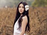 你带走我的思念