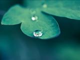 多雨季节