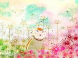 夏目友人帐猫咪老师