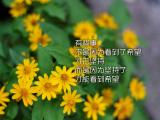 励志格言