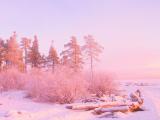 唯美雪景