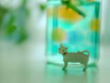 小猫摆设