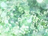 朦胧意境