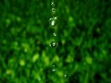 滴落下来的水滴
