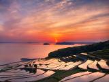 夕阳下的梯田