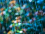 雨中霓虹