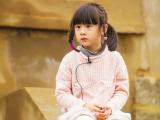 小萝莉森碟