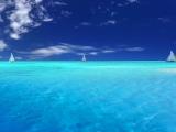 平静海面上行驶的帆船