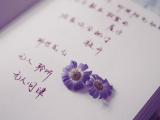 那些花儿