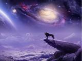 星空下咆哮的狮子