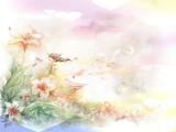 花间的想念