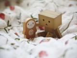 阿楞和它的小伙伴