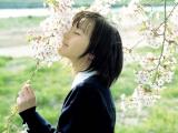 校园青春堀北真希