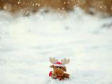 雪地里的麋鹿娃娃