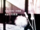 每一次相遇都是久别重逢