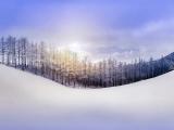 白茫茫的大雪