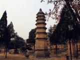少林寺塔林